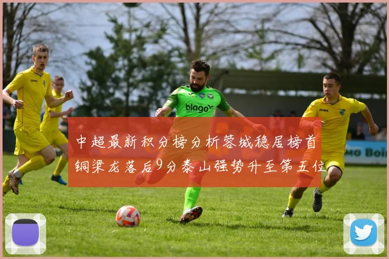 中超最新积分榜分析蓉城稳居榜首铜梁龙落后9分泰山强势升至第五位津门虎积分清零