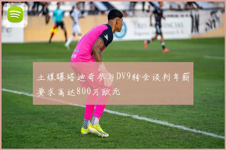 土媒曝塔迪奇参与DV9转会谈判年薪要求高达800万欧元